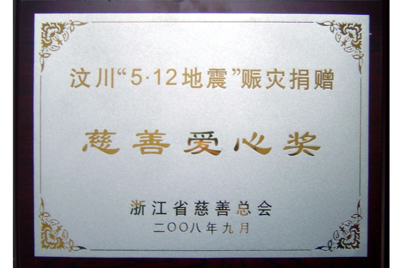 2008年汶川地震慈善愛心賞