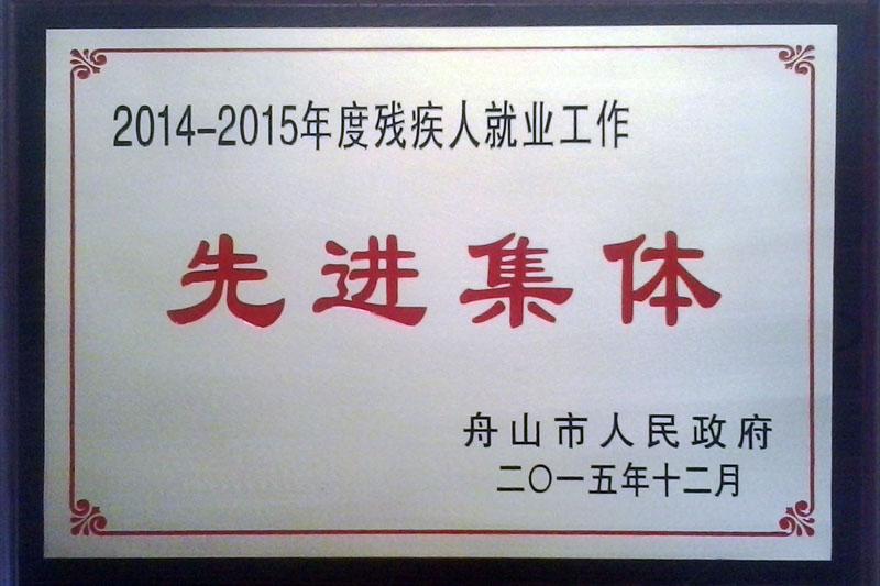 2014-2015年度市政府残疾人就业工作先进集体